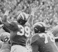 Michigan helmet, backside