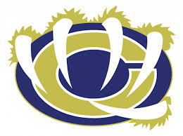 William Chrisman High School for the Missouri Wolverines Youth Tackle and Flag Football Club in Kansas City Missouri